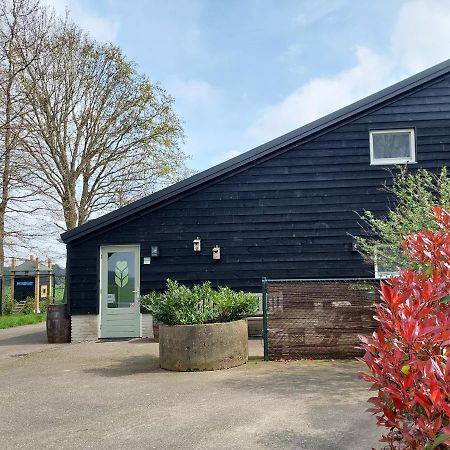 Bed & Breakfast 'T Boerenhart Duizel Eksteriør bilde