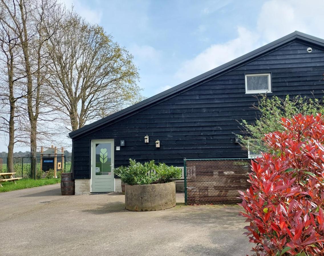 Bed & Breakfast 'T Boerenhart Duizel Eksteriør bilde